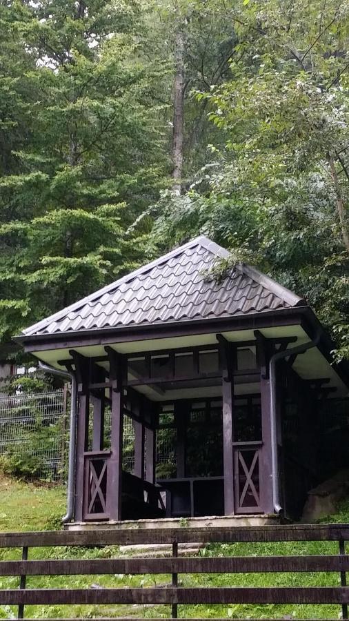13 Si 16 In Oxygen Sinaia