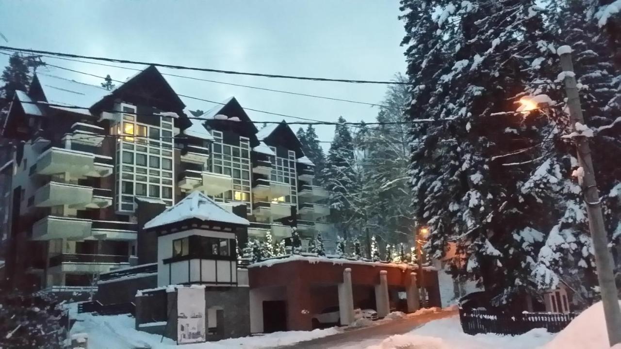 13 Si 16 In Oxygen Sinaia