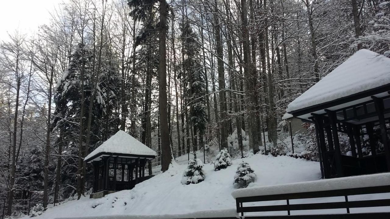 13 Si 16 In Oxygen Sinaia