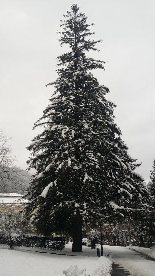 13 Si 16 In Oxygen Appartement Sinaia