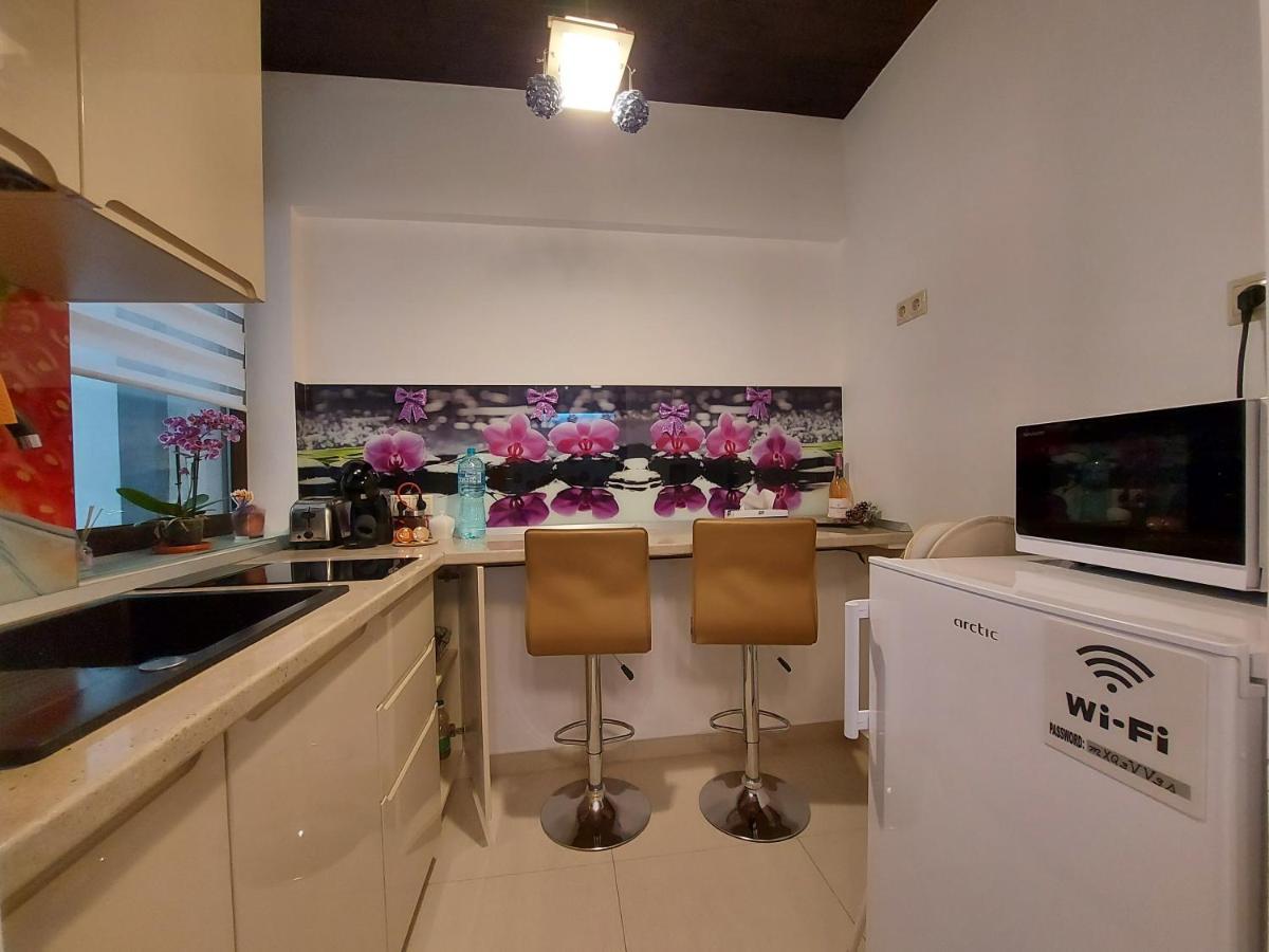 Apartment 13 Si 16 In Oxygen